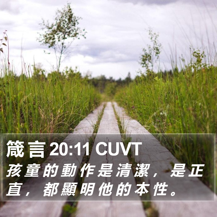箴 言 20:11 CUVT Bible Study