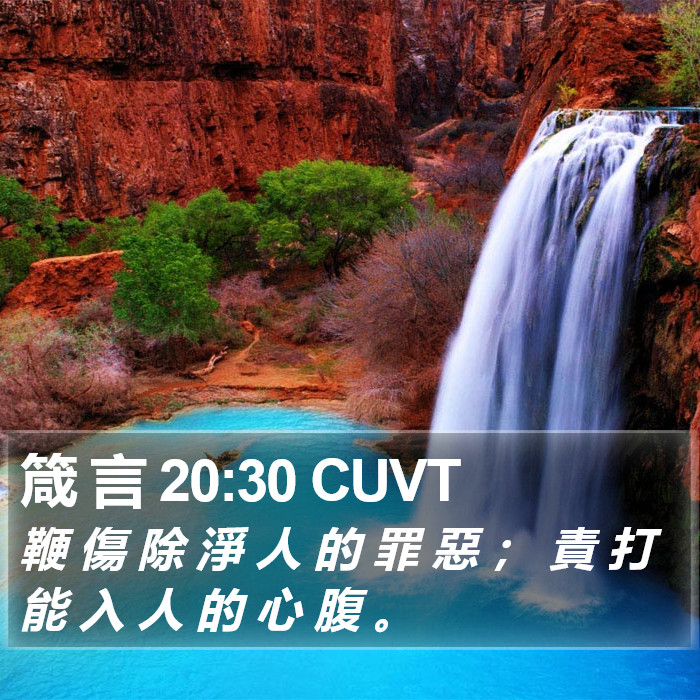箴 言 20:30 CUVT Bible Study