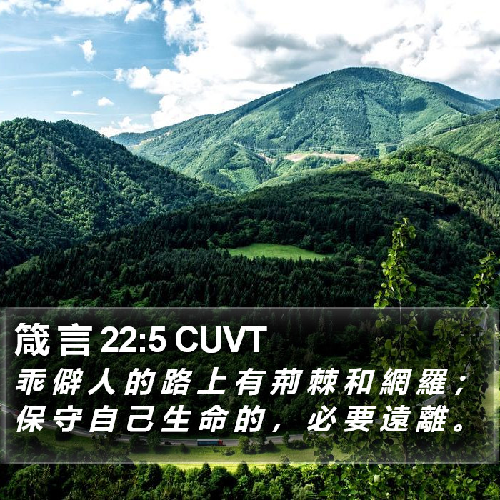 箴 言 22:5 CUVT Bible Study