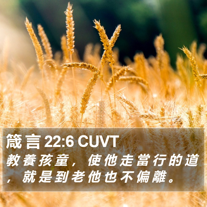 箴 言 22:6 CUVT Bible Study