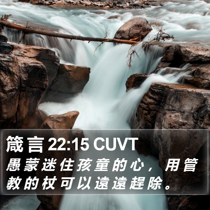 箴 言 22:15 CUVT Bible Study