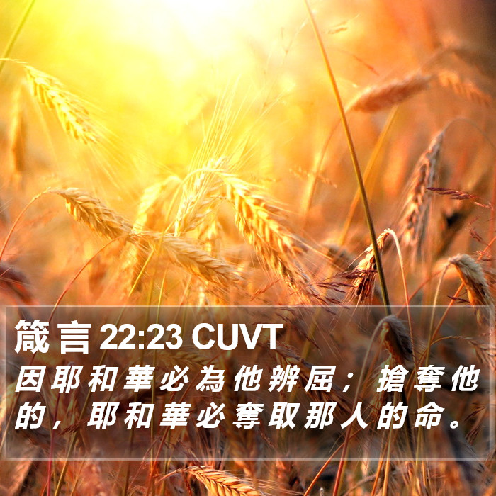 箴 言 22:23 CUVT Bible Study