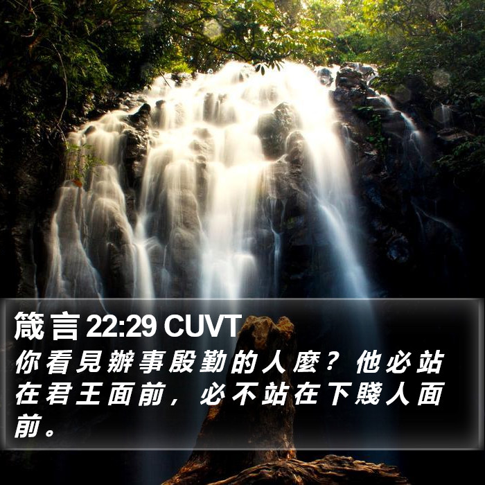 箴 言 22:29 CUVT Bible Study