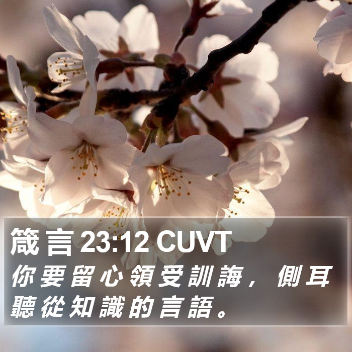 箴 言 23:12 CUVT Bible Study