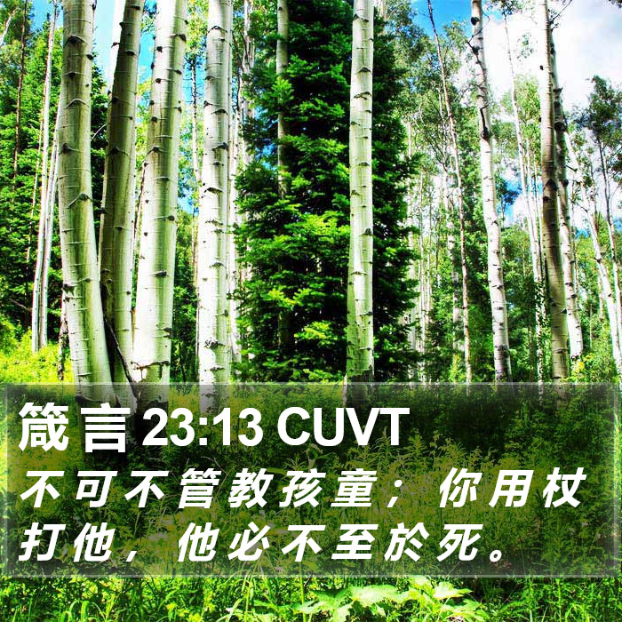 箴 言 23:13 CUVT Bible Study