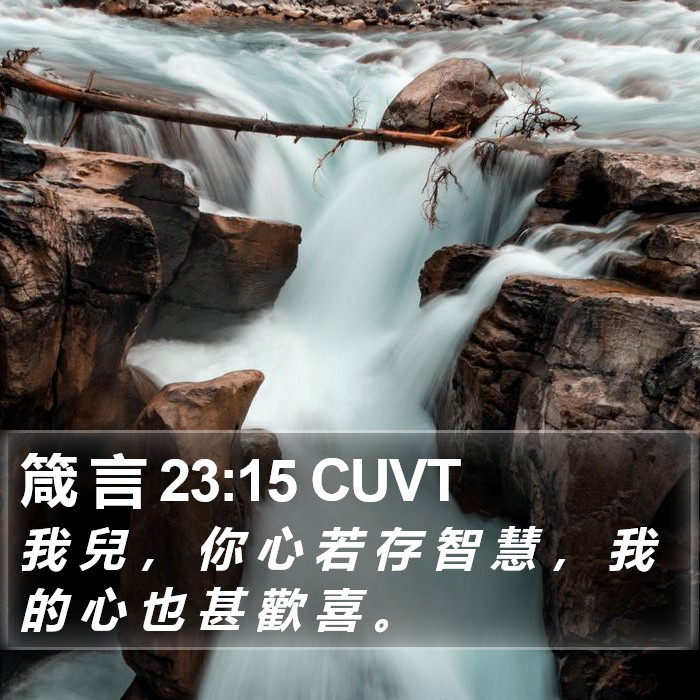 箴 言 23:15 CUVT Bible Study