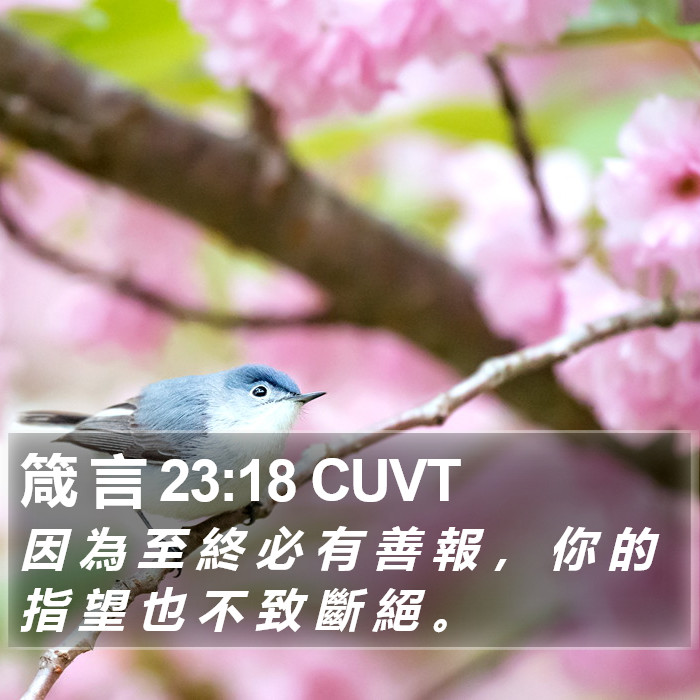 箴 言 23:18 CUVT Bible Study