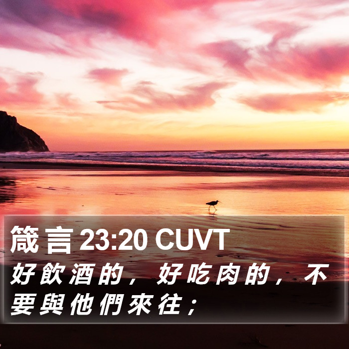 箴 言 23:20 CUVT Bible Study