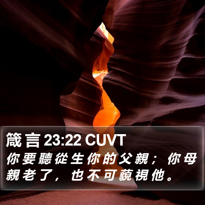 箴 言 23:22 CUVT Bible Study