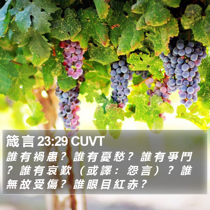 箴 言 23:29 CUVT Bible Study