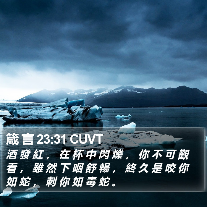 箴 言 23:31 CUVT Bible Study