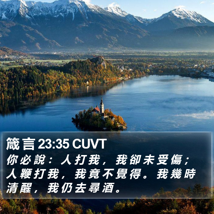 箴 言 23:35 CUVT Bible Study