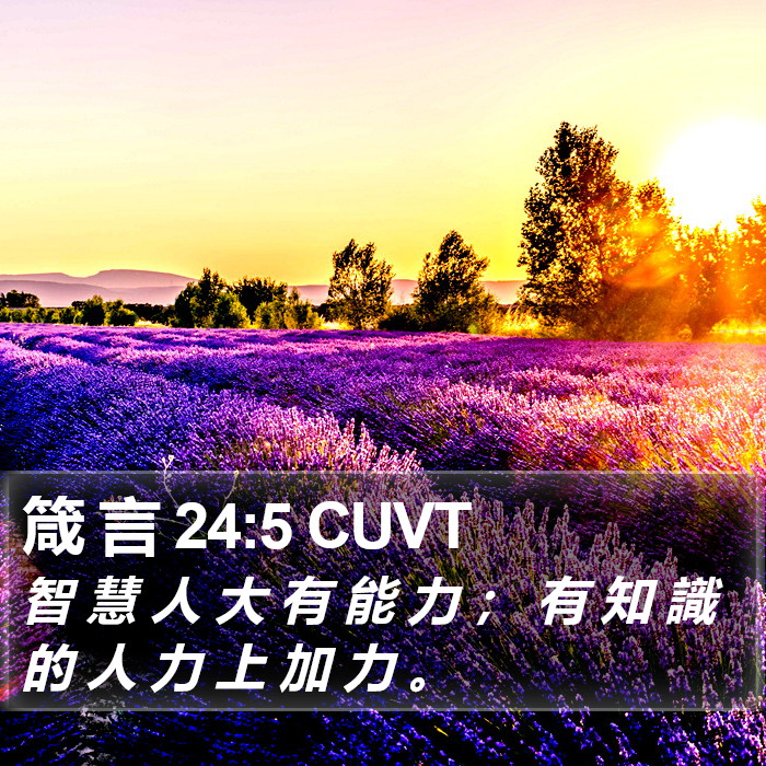 箴 言 24:5 CUVT Bible Study