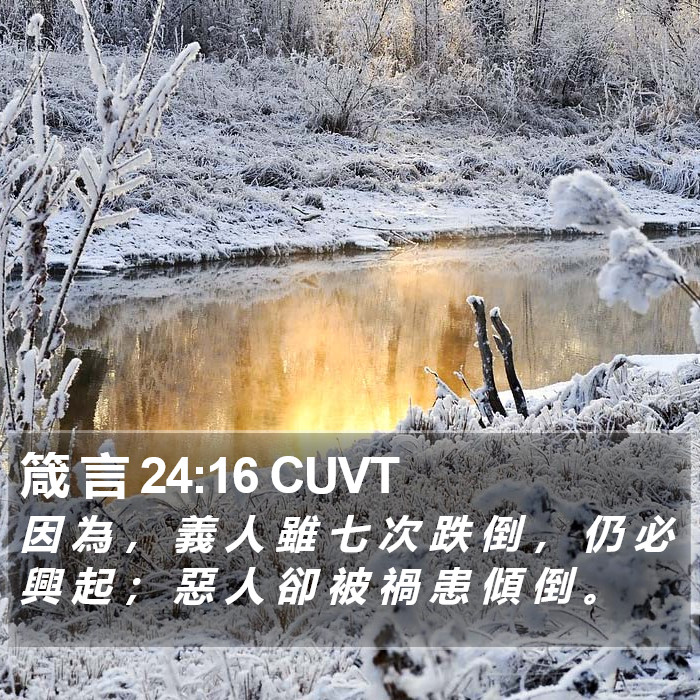 箴 言 24:16 CUVT Bible Study