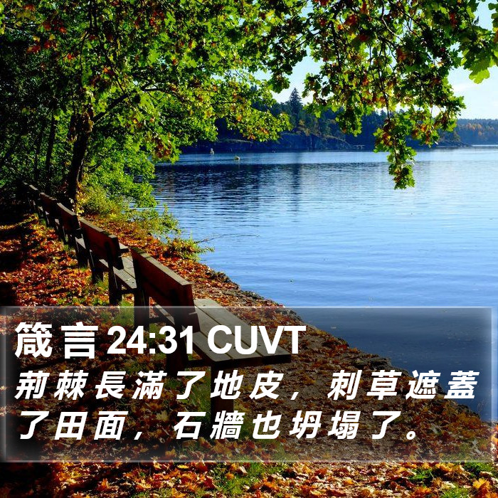 箴 言 24:31 CUVT Bible Study