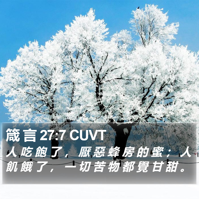 箴 言 27:7 CUVT Bible Study