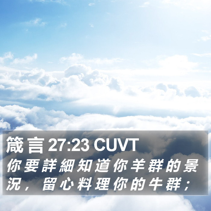 箴 言 27:23 CUVT Bible Study