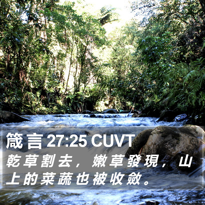 箴 言 27:25 CUVT Bible Study