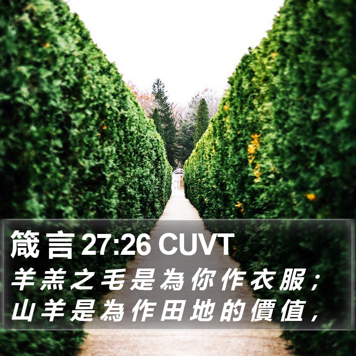 箴 言 27:26 CUVT Bible Study