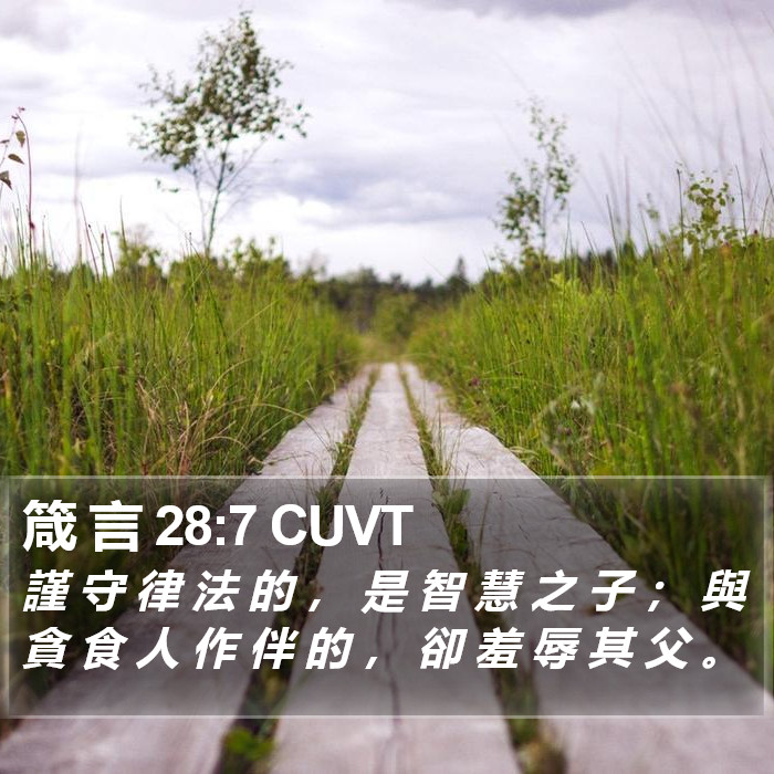 箴 言 28:7 CUVT Bible Study
