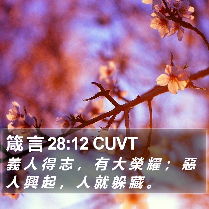 箴 言 28:12 CUVT Bible Study