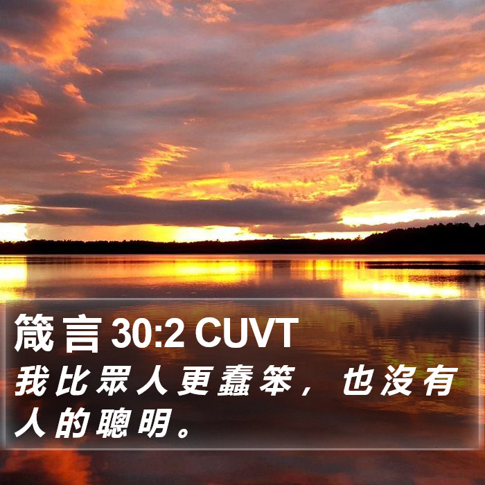 箴 言 30:2 CUVT Bible Study