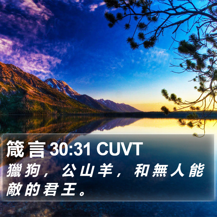 箴 言 30:31 CUVT Bible Study