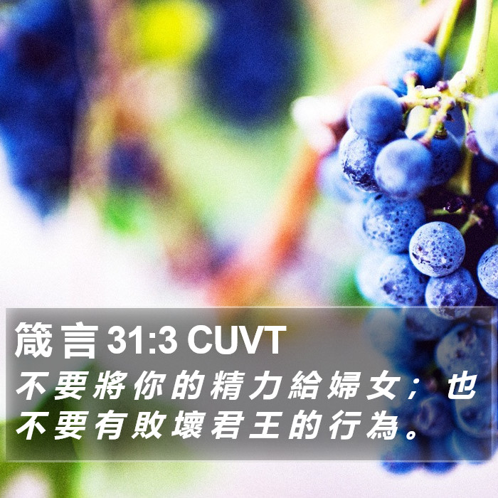 箴 言 31:3 CUVT Bible Study