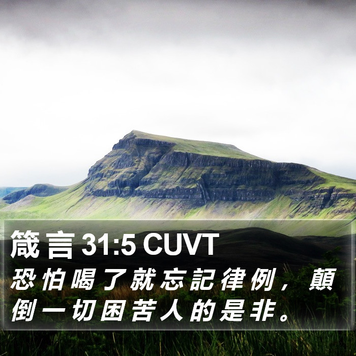 箴 言 31:5 CUVT Bible Study