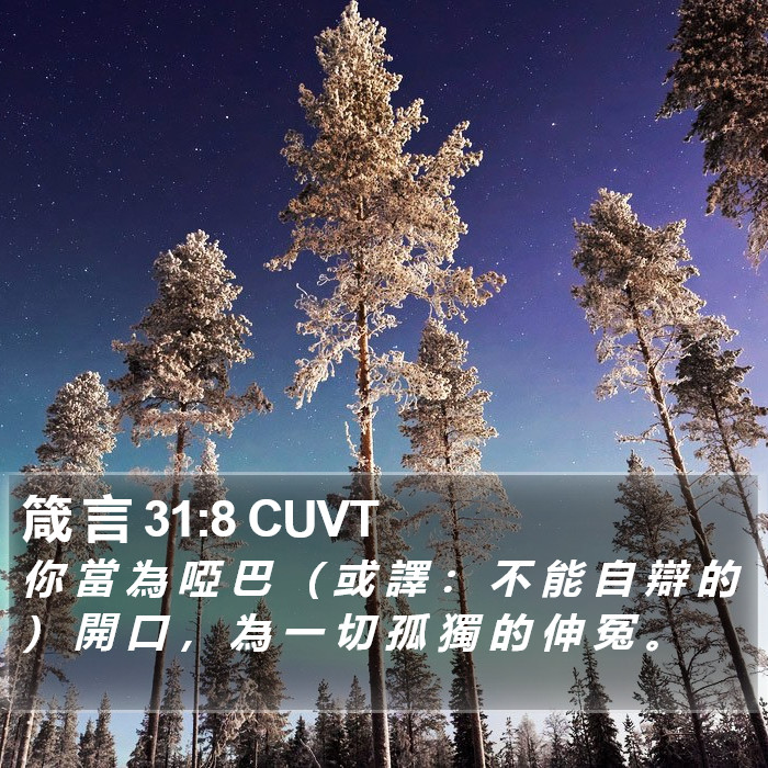 箴 言 31:8 CUVT Bible Study