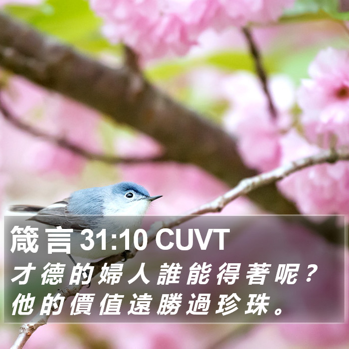 箴 言 31:10 CUVT Bible Study