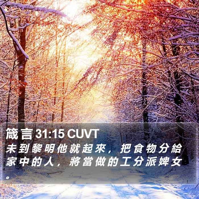 箴 言 31:15 CUVT Bible Study