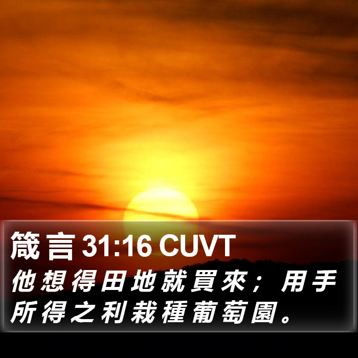 箴 言 31:16 CUVT Bible Study