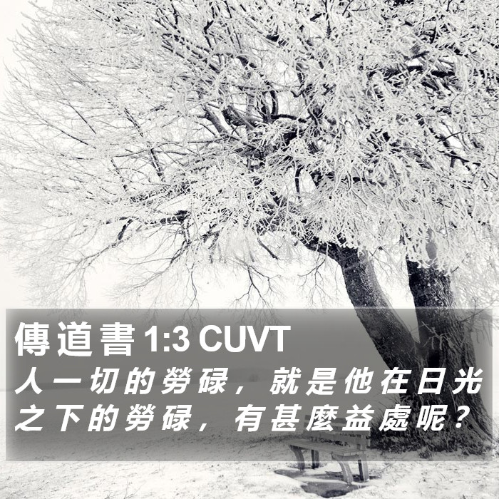 傳 道 書 1:3 CUVT Bible Study