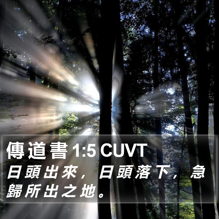 傳 道 書 1:5 CUVT Bible Study