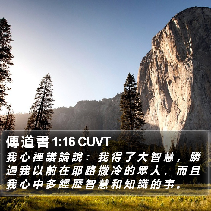 傳 道 書 1:16 CUVT Bible Study