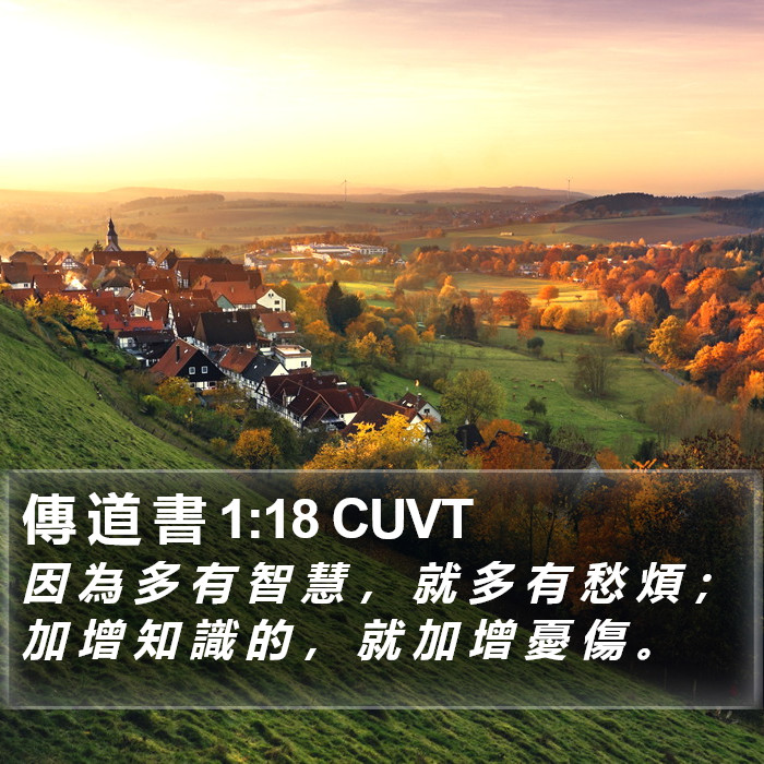 傳 道 書 1:18 CUVT Bible Study