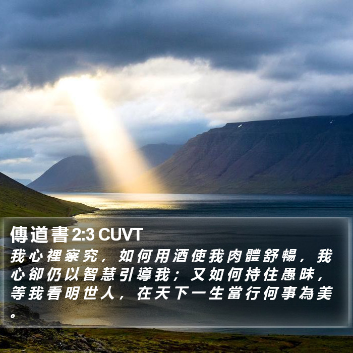 傳 道 書 2:3 CUVT Bible Study