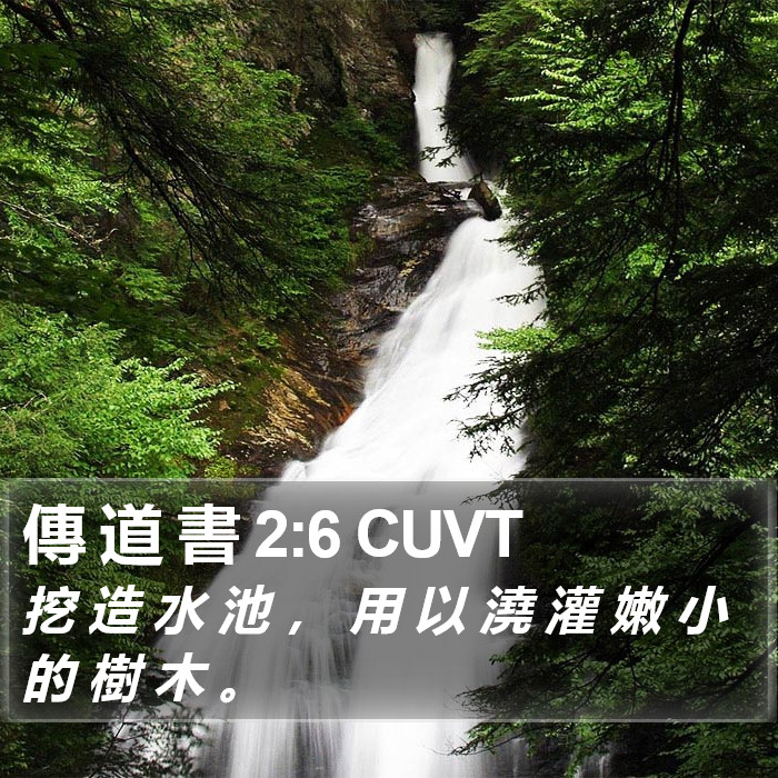 傳 道 書 2:6 CUVT Bible Study