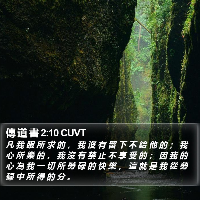 傳 道 書 2:10 CUVT Bible Study