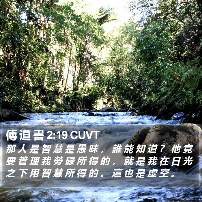 傳 道 書 2:19 CUVT Bible Study