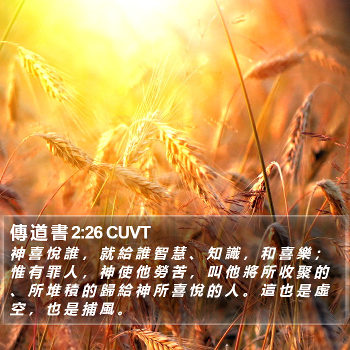 傳 道 書 2:26 CUVT Bible Study