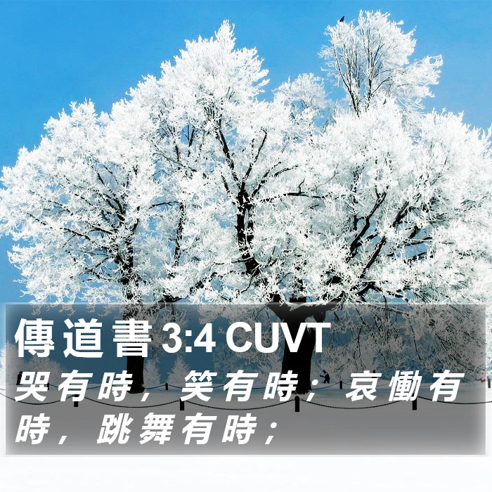 傳 道 書 3:4 CUVT Bible Study