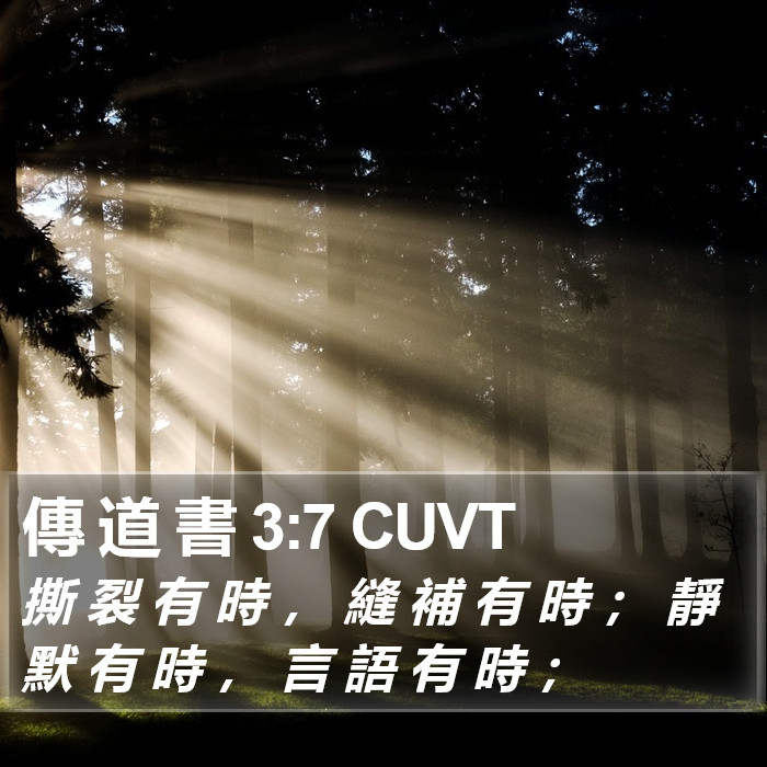 傳 道 書 3:7 CUVT Bible Study