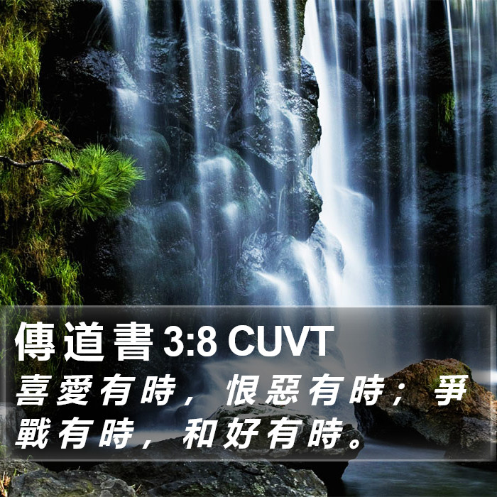 傳 道 書 3:8 CUVT Bible Study