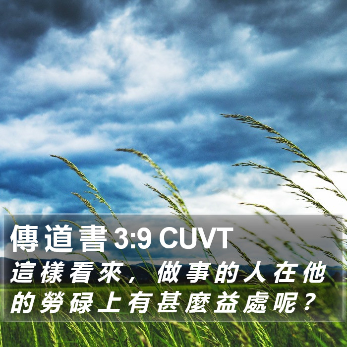 傳 道 書 3:9 CUVT Bible Study