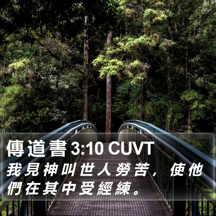 傳 道 書 3:10 CUVT Bible Study