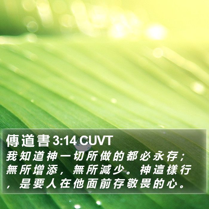 傳 道 書 3:14 CUVT Bible Study