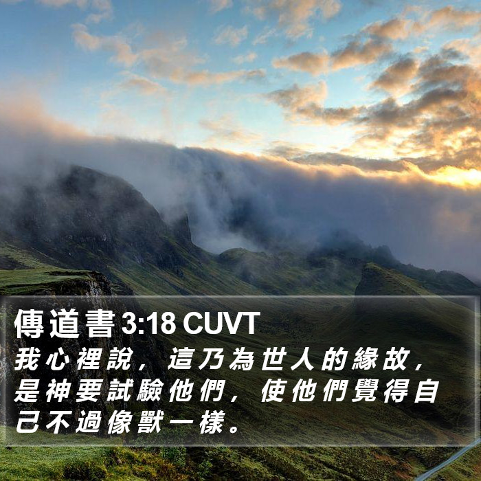 傳 道 書 3:18 CUVT Bible Study