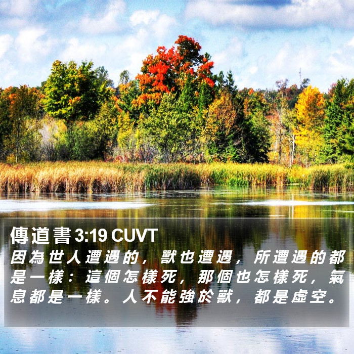 傳 道 書 3:19 CUVT Bible Study